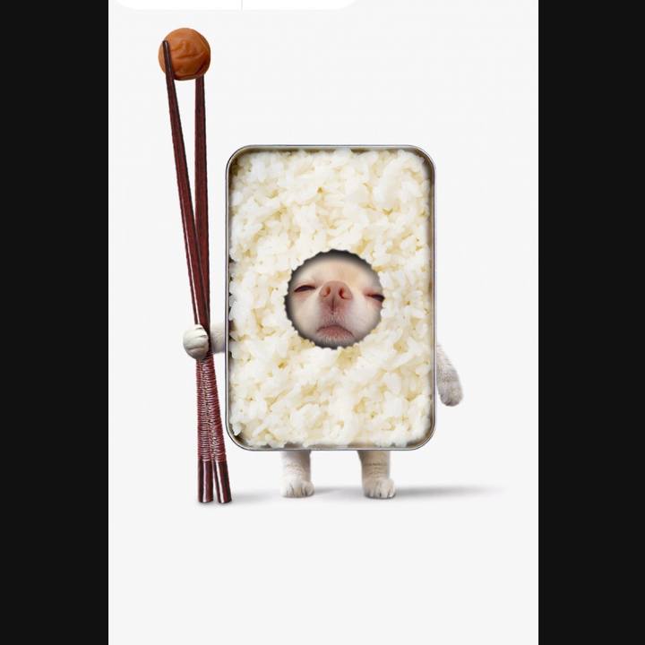 1fdf593c 2a51 4cf4 8d14 9359f0656f1c 1731488712528