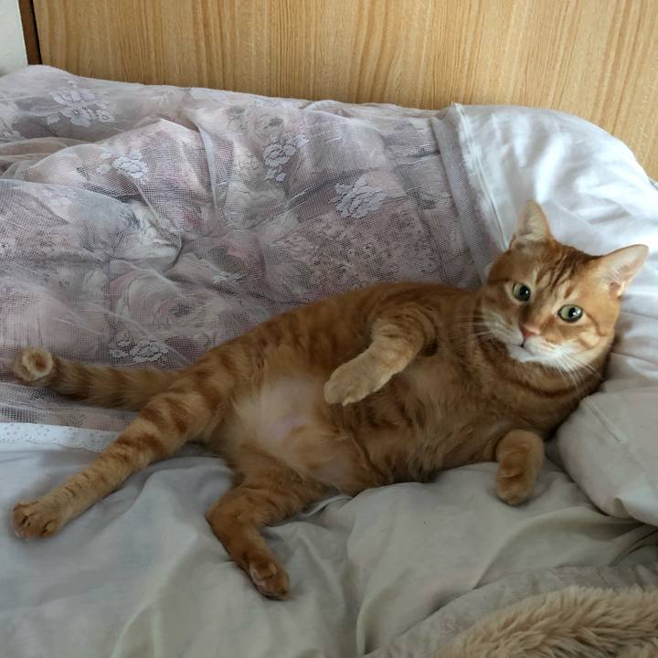 1fdf68d7 44fc 4b92 b6c1 74b563d63b1a 1609744581694