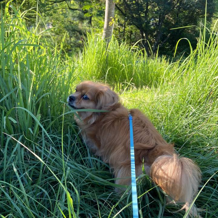 1fdf6ca3 df82 4b9a 9e38 ddcc3bd0a77e 1660378329781