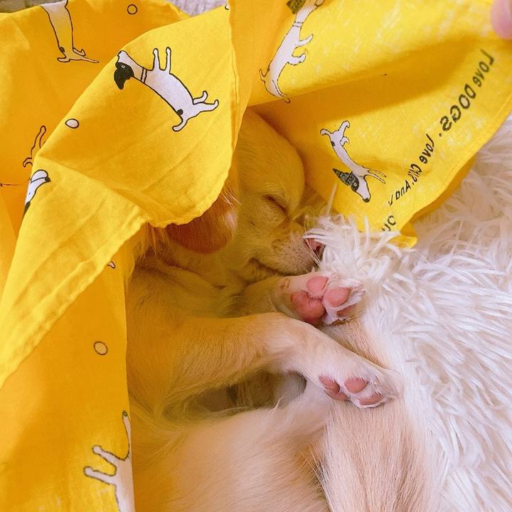 1fdf7556 dd21 4a92 8630 03fa8f72d94f 1624624830350