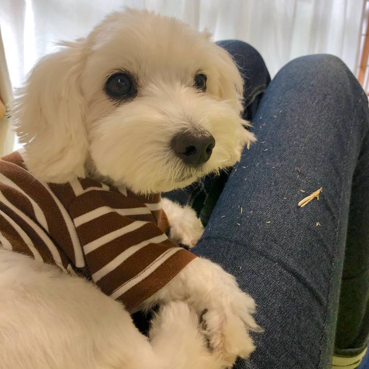 1fdfbba7 672c 4f82 8206 8c4255ab73d0 1571808332785