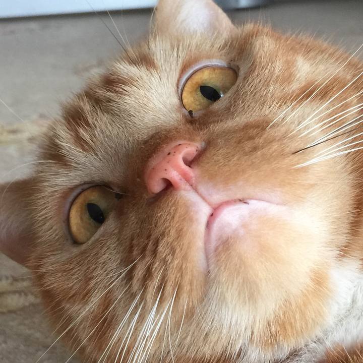 1fdfdb40 db1d 4b61 8622 27079337bbc3 1552692881470