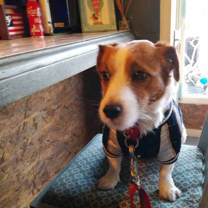 1fdfeee3 5305 46f5 8ee8 0a64fdb75b29 1543532115519