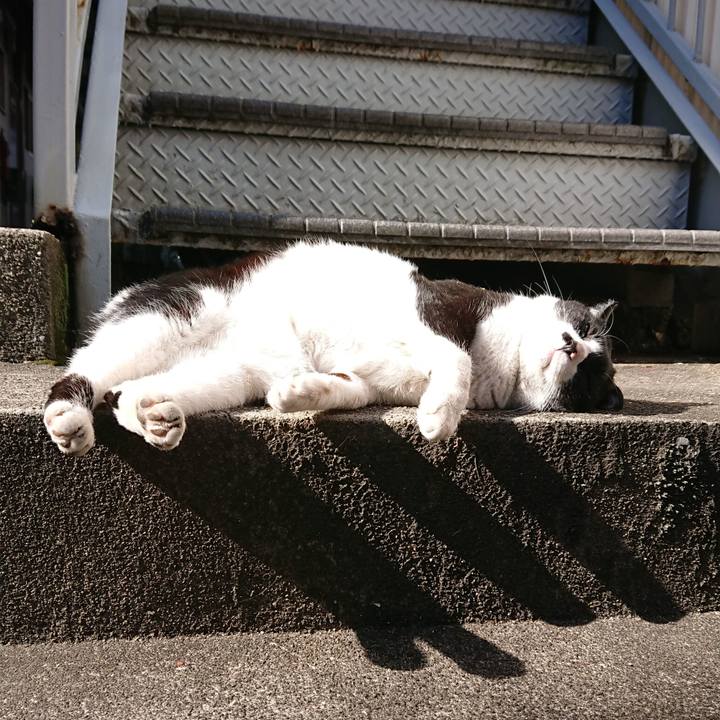 1fe01abd 7452 4522 bd42 a8a6dc1774c2 1581409851654