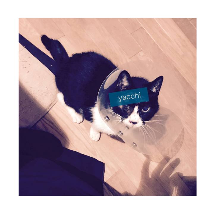 1fe04a54 1c05 46d2 b4ad 99956ae3d954 1579688407378