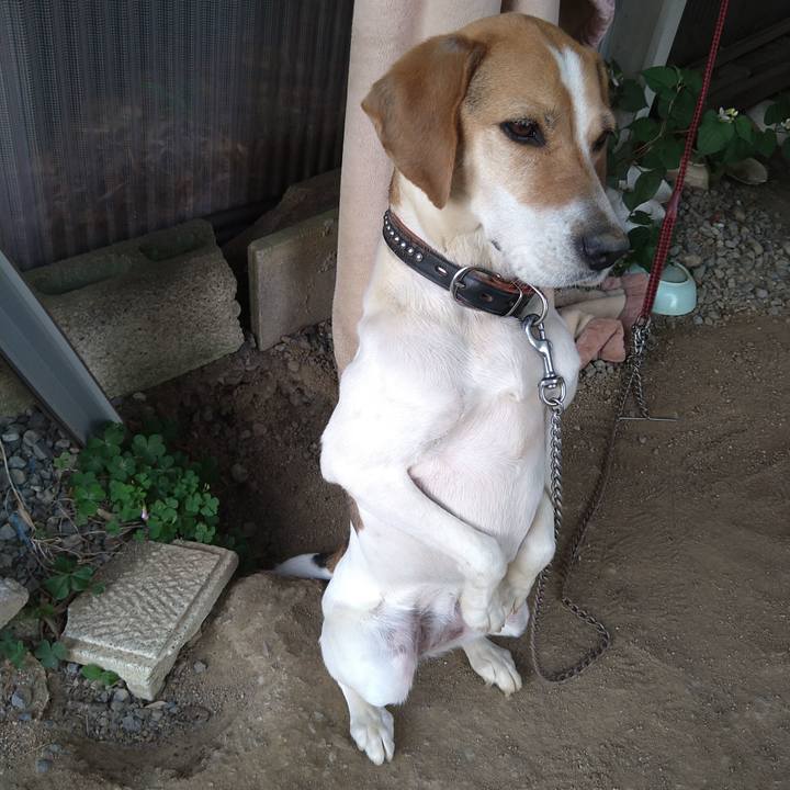 1fe05f75 9950 4fcf 8735 38c07410a5e7 1653887771836