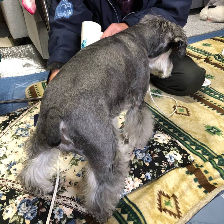 1fe06ac5 1b49 4169 8592 bf236a4cded0 1671931319532