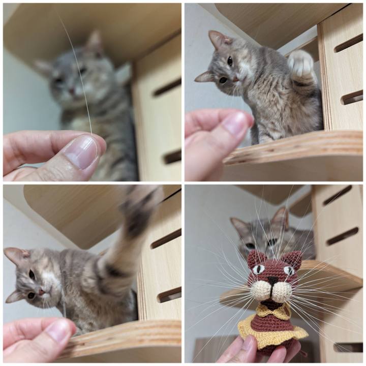 1fe06b67 5168 453b 80fe 0d0e90e2346e 1703738462818