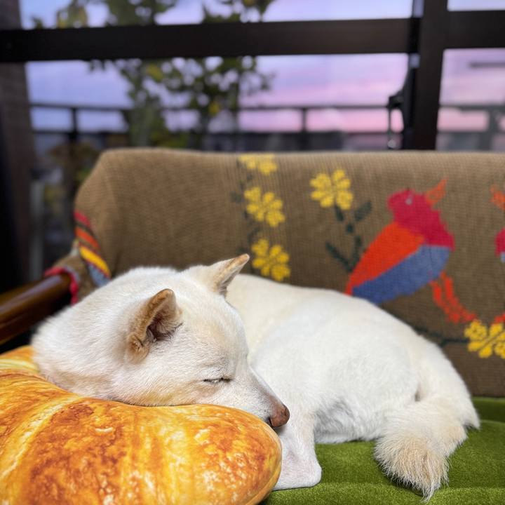 1fe08ec3 fcb1 403f 904b fc5b8c55434a 1735545025085