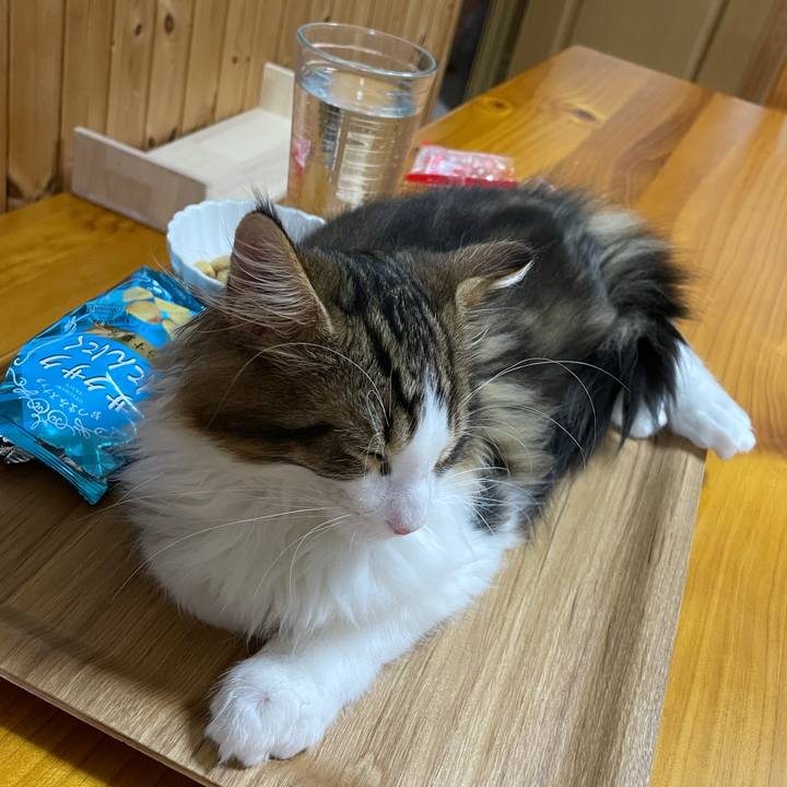 1fe0b8a3 7053 4e4f acc9 961c35679a31 1635765620920