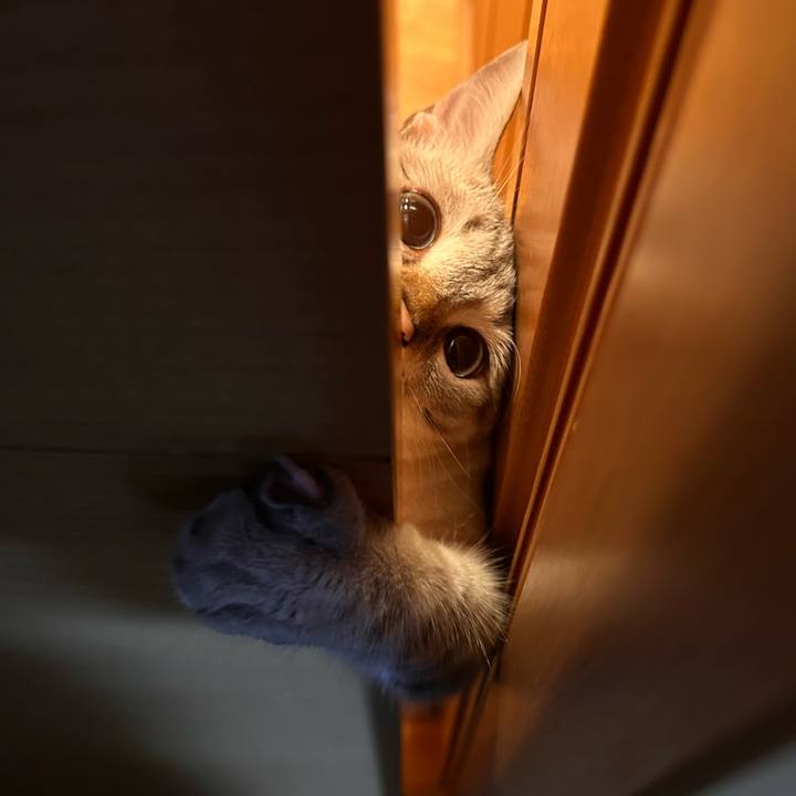 1fe0cd5e 7928 4530 9318 54a5e1dbe767 1763034196380