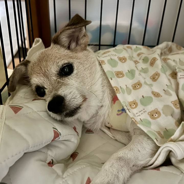 1fe116b3 5578 4343 9a99 f1d08ea8f78e 1757546406985