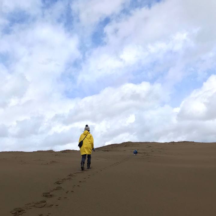 1fe14e99 ace1 4e1f 83f8 e477c4917c0f 1552789757667