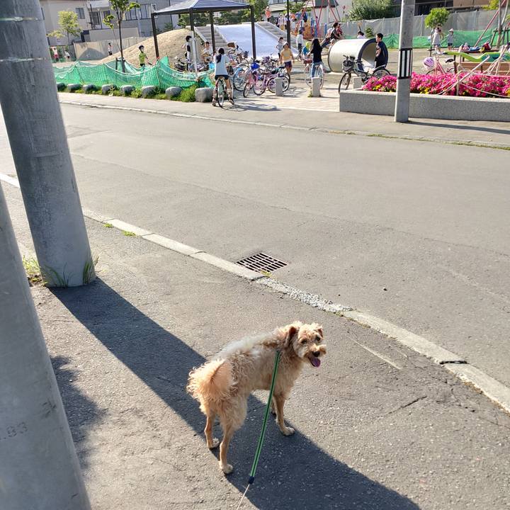 1fe154e6 0e22 4d06 94db c70fae4f5eac 1596100261078