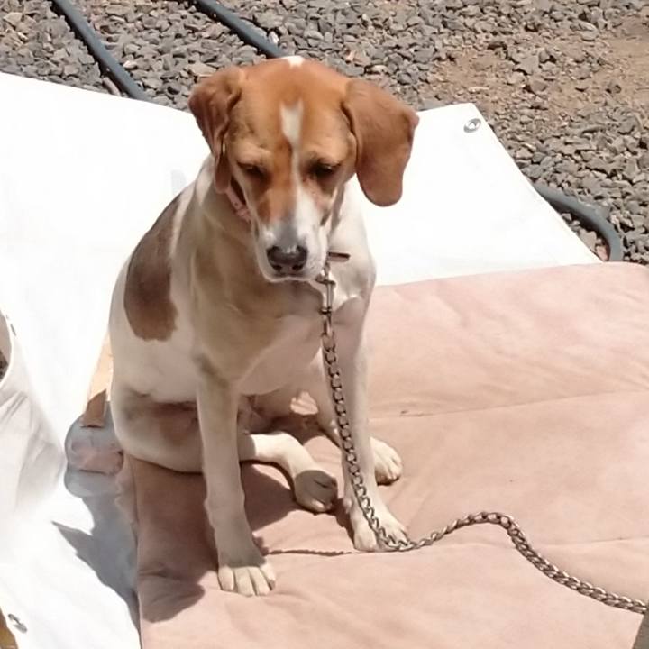 1fe1a700 49f6 4dfa 9976 81f687791d91 1588041158762