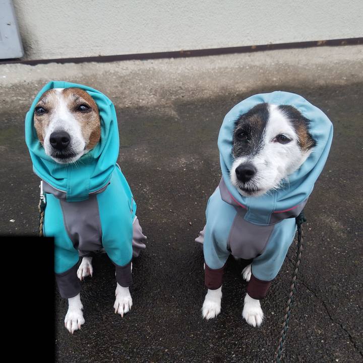 1fe1aebf 32be 48d2 b31f 7ea98b4835f0 1761432674168