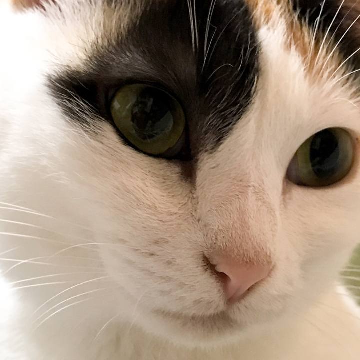 1fe1e5b1 0565 4179 b17a 37661dcb61e3 1526729330557