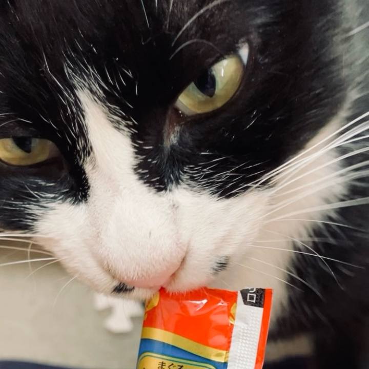 1fe20248 3ef1 4f91 a7cd 549cba65ed6c 1731295575758