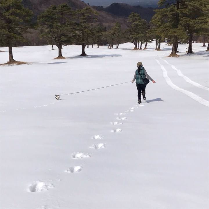 1fe21231 65d6 4c51 bab5 b1595a075620 1522012121485