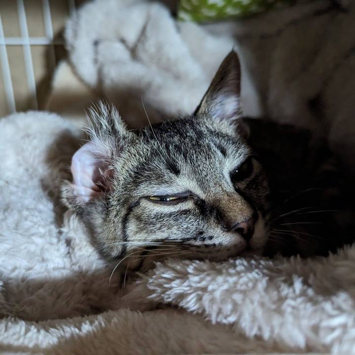 1fe2337b 4649 4839 9cf6 993640dc650b 1703738194689