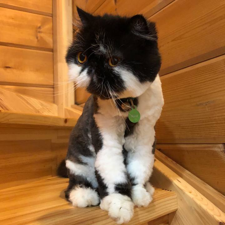 1fe23d5f 4b67 445f ac3d f1052af47dcd 1563265652807