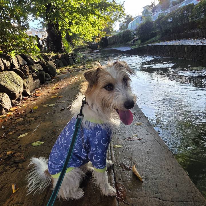 1fe2433f e86c 4491 9989 707e492de747 1762083951293