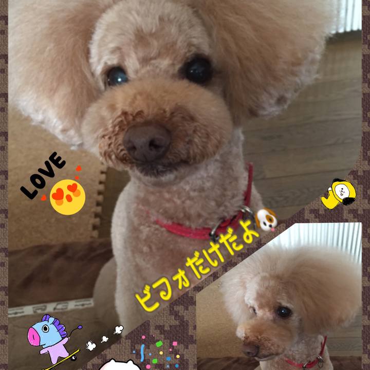 1fe25920 4360 46bf 9927 08a1a2ae6927 1511814566492