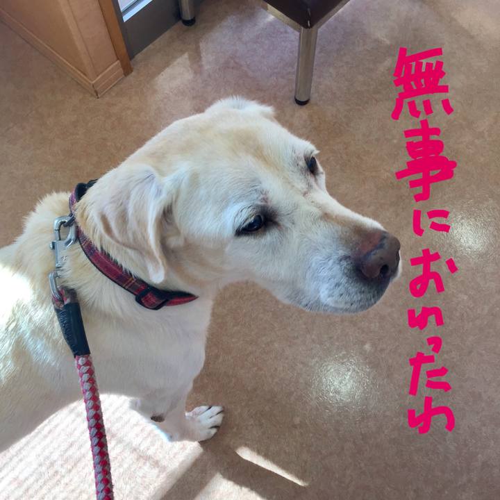 1fe28f3f 4dd5 4b61 880a 7cfc1dc5c5b8 1510029131872