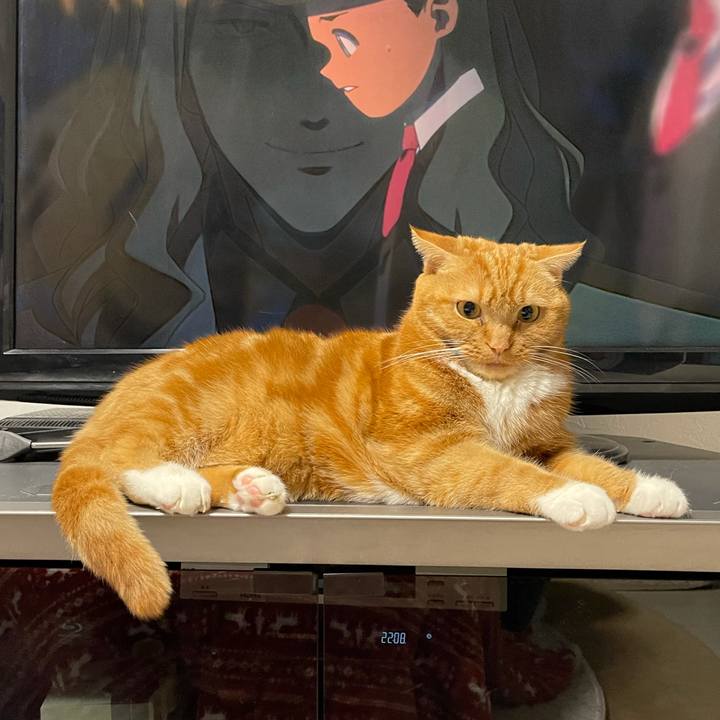 1fe2906c 16a0 4ef4 8689 3a433a7b45f8 1637673016346