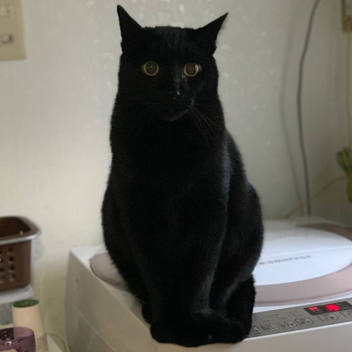 1fe2d076 9a6a 4d12 a800 c88b7e8f3f51 1577844218845