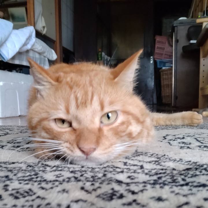 1fe2e304 5210 464c bbe5 e4af78160306 1694943063593