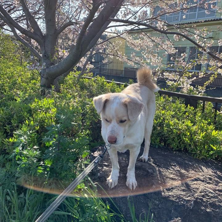 1fe2ec13 8472 4937 991c 53ffe1bf016b 1554337057489