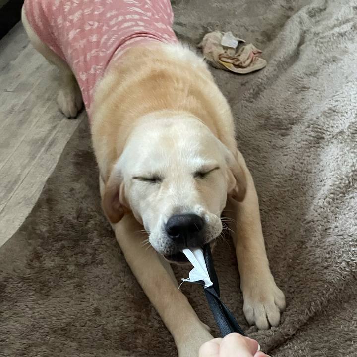 1fe31e9a e8ce 4f46 93e7 e9bee31a1fa4 1624190463059