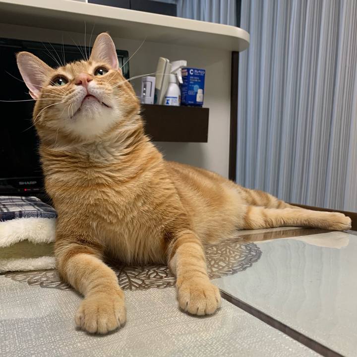 1fe3af09 bb35 4bb2 ac99 018d9b5326c2 1620394113892