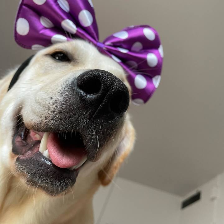 1fe3be4f 0175 4f62 929b dbc2dc2fa5cb 1632532836054