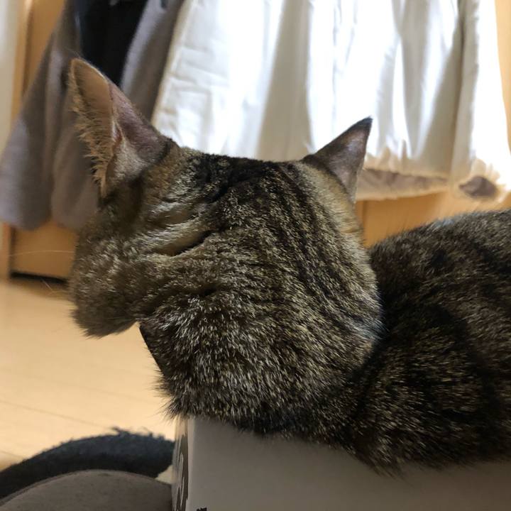 1fe3f16d 55e5 4121 a203 b6201984f411 1610656417421