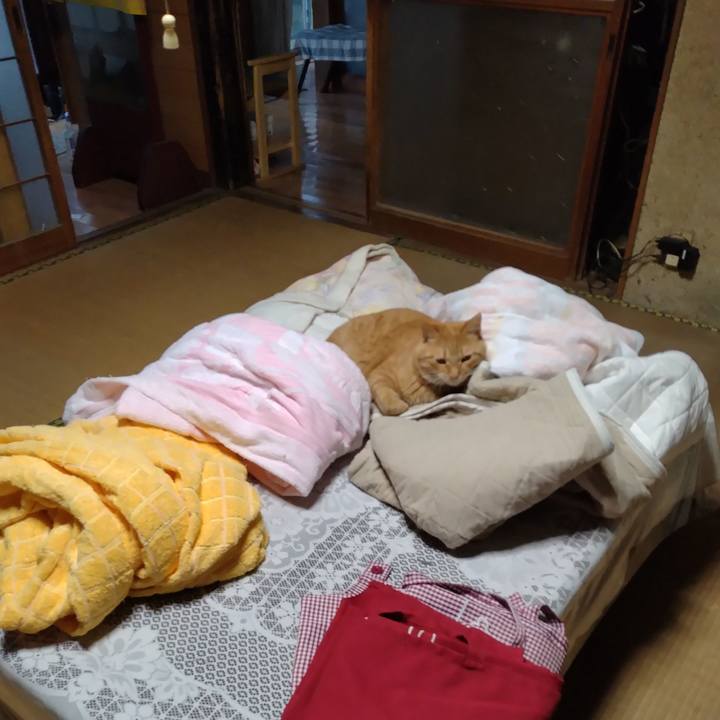 1fe3f34d 26e1 4a41 a4e7 bb2c1c42099b 1664971875764