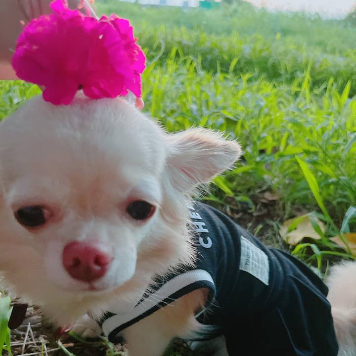 1fe42cda 1951 4823 aaa2 ac1fe2c4d29d 1661164282163