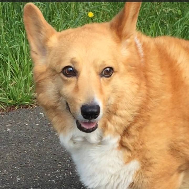 1fe451a1 9288 4738 a18a 26d35f88d4be 1629645503017