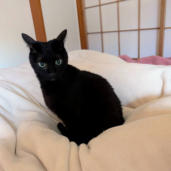 1fe45534 62ba 47c2 a5bc 22de3329c5db 1764629305257