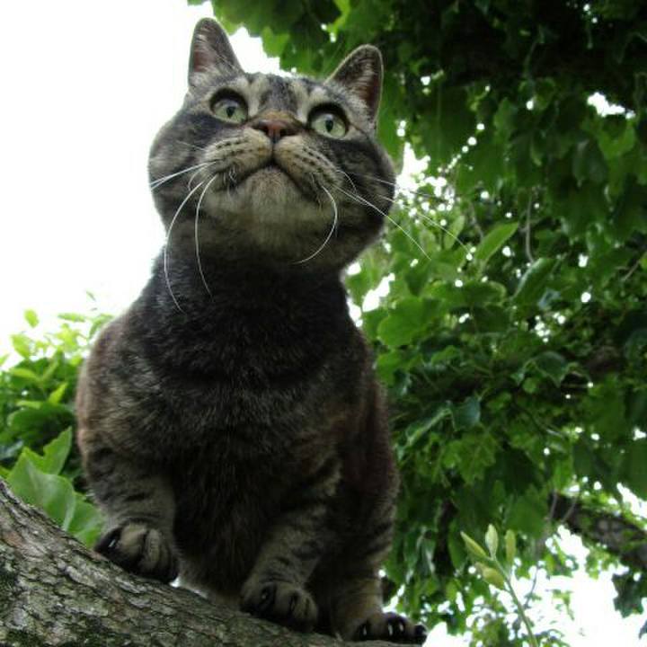 1fe456c9 436c 4d35 8a05 2ff4e839f9f1 1560323613784