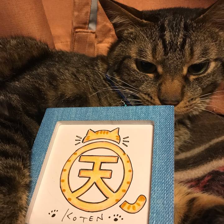 1fe468d5 d7fc 4fb0 b2a0 5e84425e0efe 1561292830432