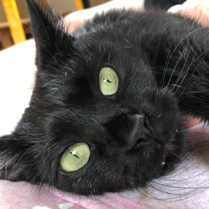 1fe4aef6 cb66 48fe a77d 1a5c51cd3f7d 1563606663103