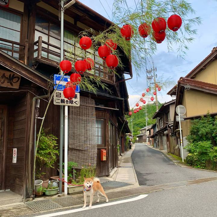 1fe4e33b 296e 427c 81f2 2d2f15f34727 1626338734007