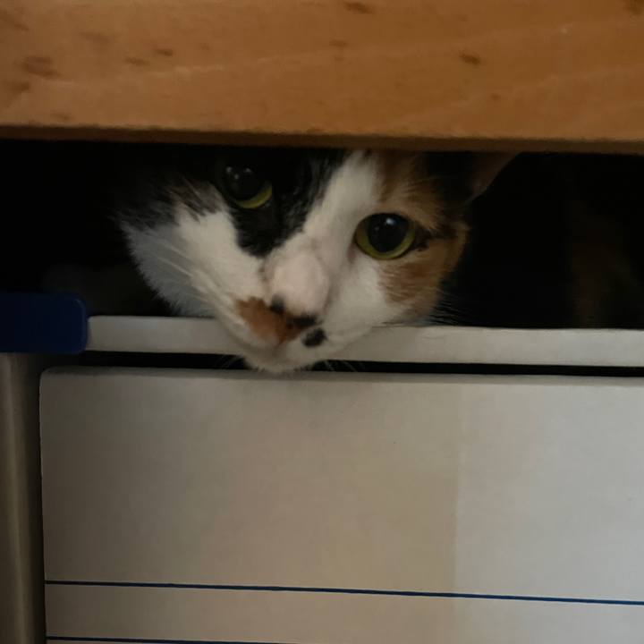 1fe4e46c 0790 410c bf43 c00ab78ac9a3 1634030858149