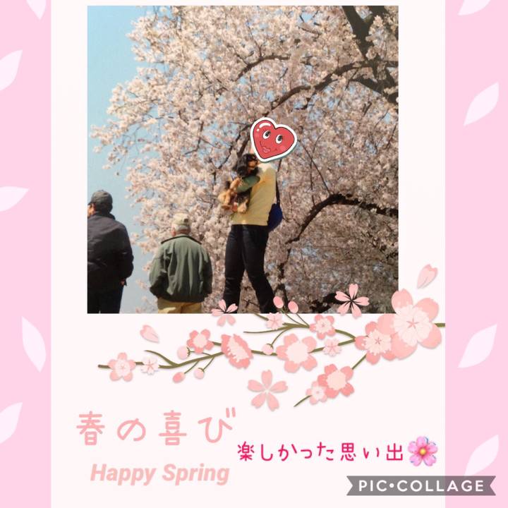 1fe51a60 bb23 46e8 9590 e4d82e12d13a 1554296852962