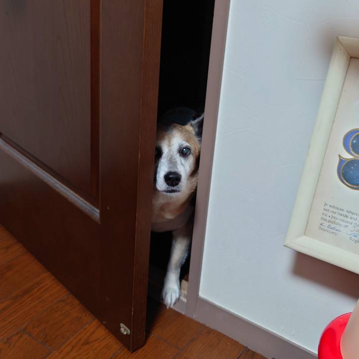 1fe52c4f ab1e 4ade a0a4 4a2b7364462c 1655891502015