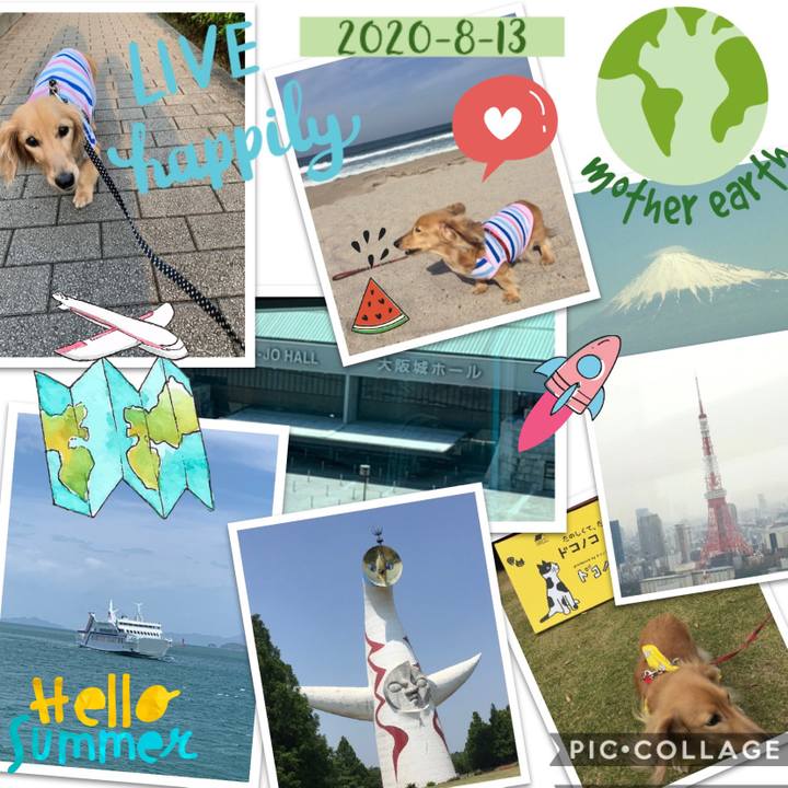 1fe545fc fa7c 46dd 9b55 d7f174f3037e 1597287126585