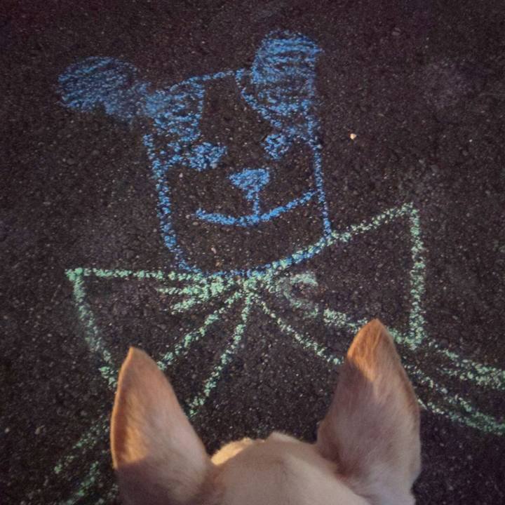 1fe54d16 241f 4fdd 85c7 eac405b736c3 1599903354999