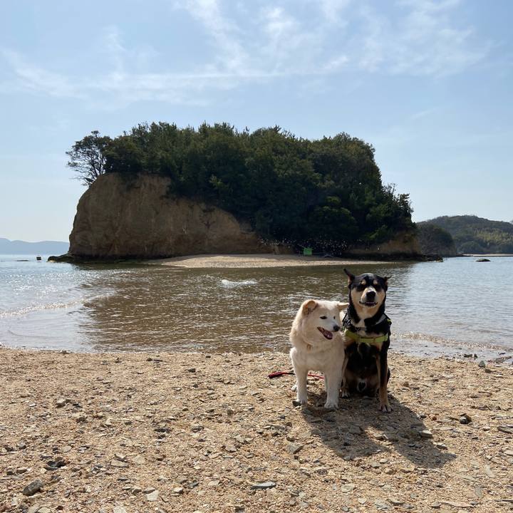 1fe57074 d3fd 4c66 a61d 23b476956dda 1678676623848